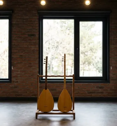 Hangi Bağlama Daha Kolay Öğrenilir? Yeni Başlayanlar İçin Profesyonel Seçim Rehberi